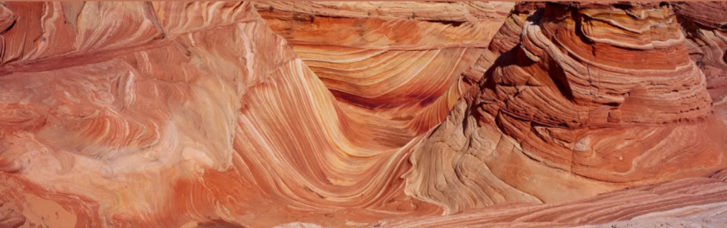 Venice Architectural Gem